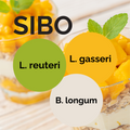 L. reuteri + L. gasseri + B. longum | Yogurt Starter Set | Starter Cultures | 3-Pack