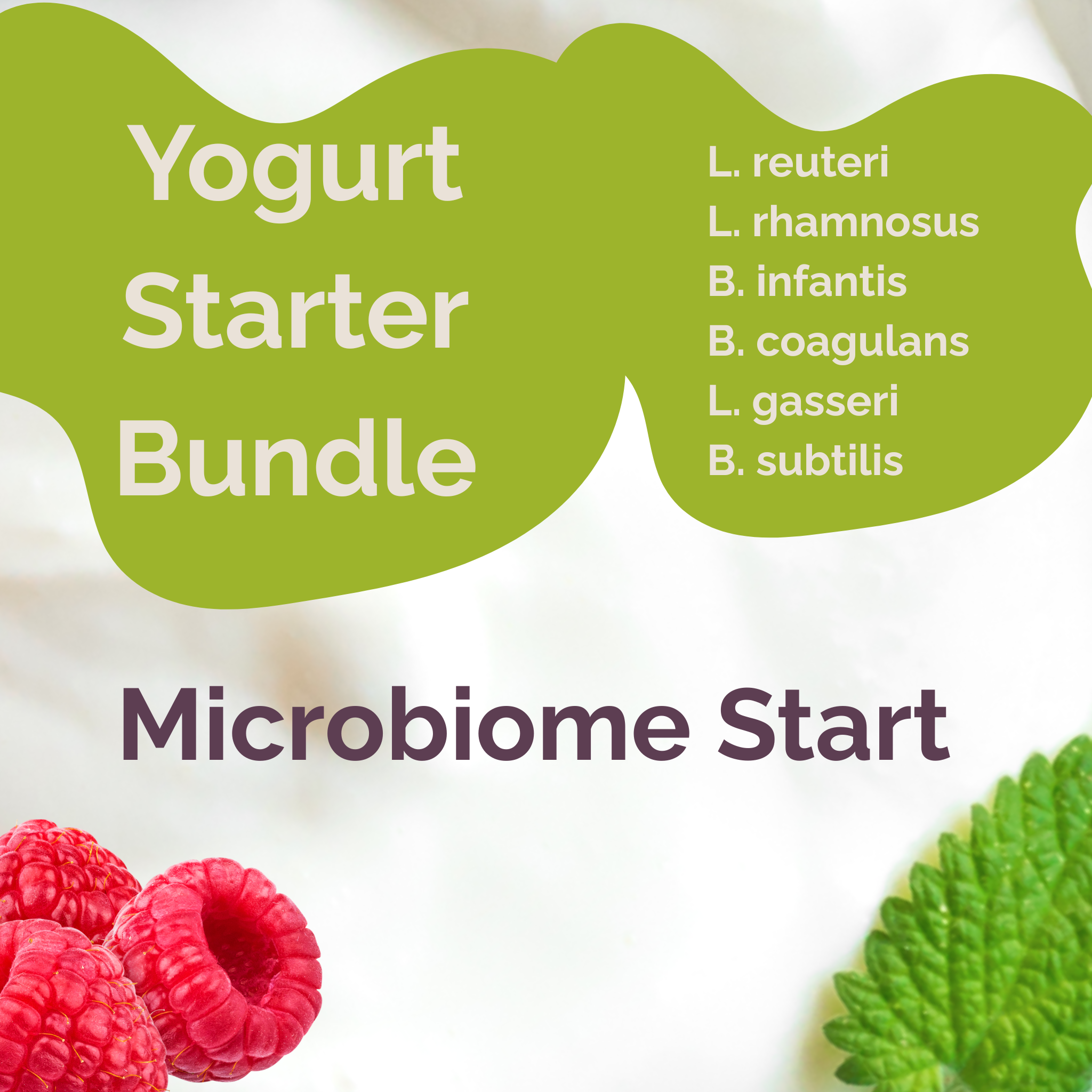 L. reuteri + L. rhamnosus + B. infantis + B. coagulans + L. gasseri + B. subtilis | Microbiome Start | Yogurt Starter Bundle | Pack of 3 Sets