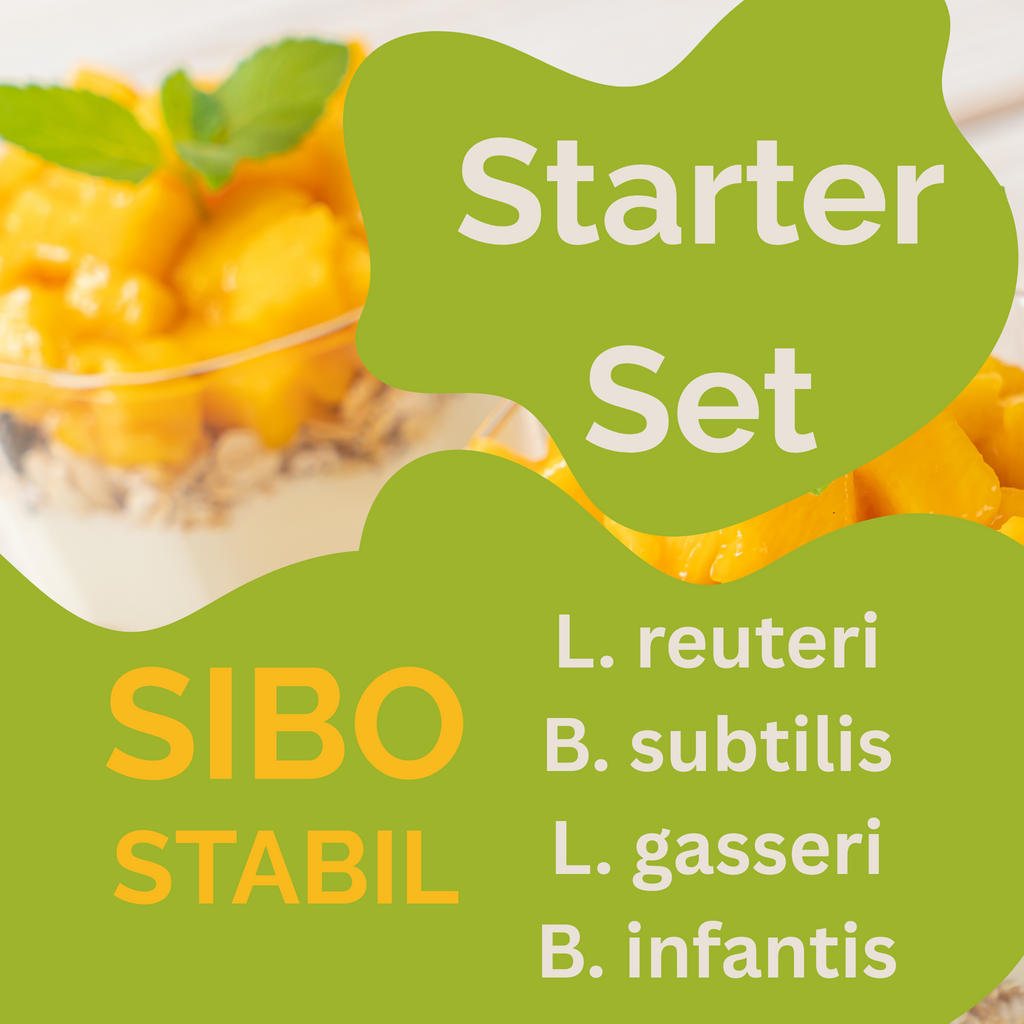 Conjunto Inicial „SIBO Stabil" | L. reuteri, B. subtilis, L. gasseri, B. infantis-Iogurte
